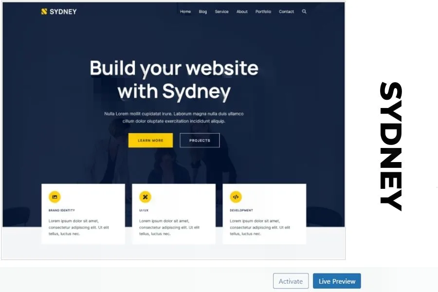 best theme to use with Elementor Sydney theme